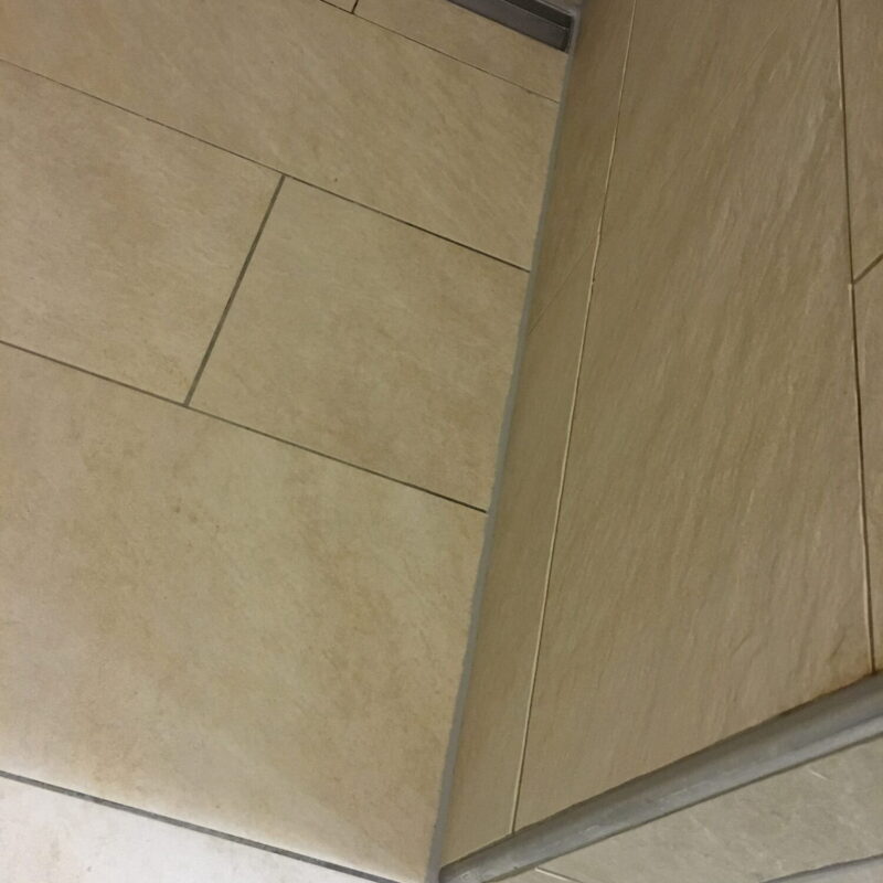 IMG_8877-efdg1h4ykwmm496